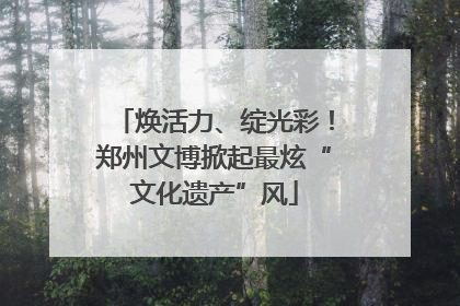 焕活力、绽光彩！郑州文博掀起最炫“文化遗产”风