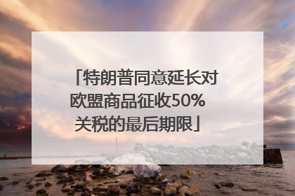 特朗普同意延长对欧盟商品征收50%关税的最后期限