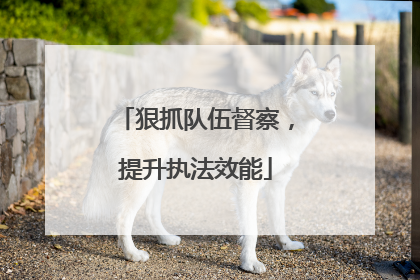 狠抓队伍督察，提升执法效能