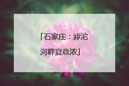 石家庄：滹沱河畔夏意浓