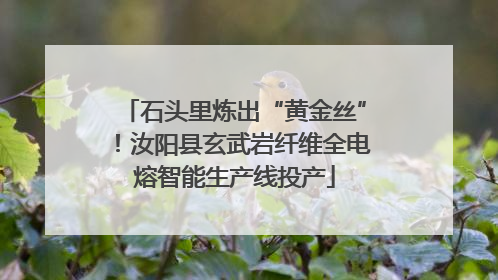 石头里炼出“黄金丝”！汝阳县玄武岩纤维全电熔智能生产线投产