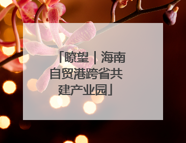 瞭望｜海南自贸港跨省共建产业园