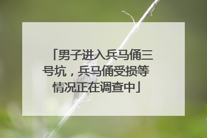 男子进入兵马俑三号坑，兵马俑受损等情况正在调查中