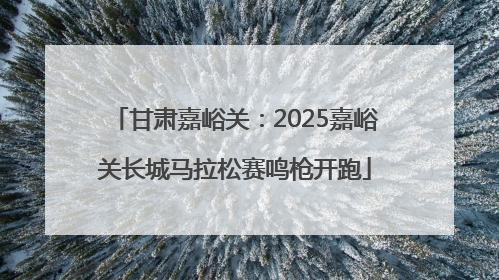 甘肃嘉峪关：2025嘉峪关长城马拉松赛鸣枪开跑