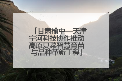 甘肃榆中—天津宁河科技协作推动高原夏菜智慧育苗与品种革新工程