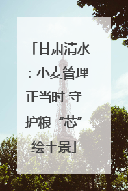 甘肃清水：小麦管理正当时 守护粮“芯”绘丰景