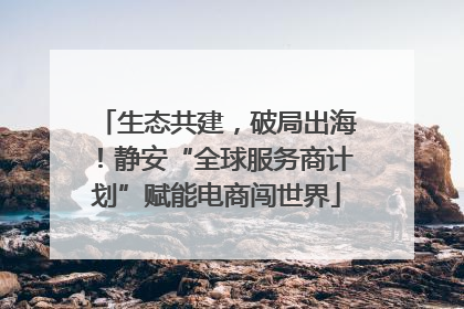 生态共建，破局出海！静安“全球服务商计划”赋能电商闯世界