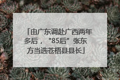 由广东调赴广西两年多后，“85后”张东方当选苍梧县县长