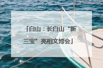 白山：长白山“新三宝”亮相文博会