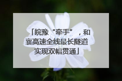皖豫“牵手”，和襄高速全线最长隧道实现双幅贯通