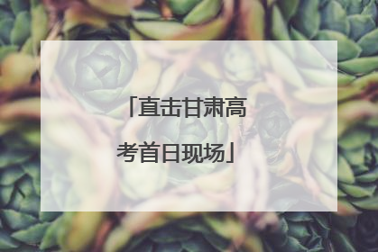 直击甘肃高考首日现场