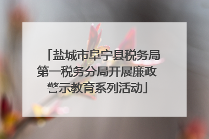 盐城市阜宁县税务局第一税务分局开展廉政警示教育系列活动