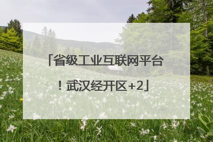 省级工业互联网平台！武汉经开区+2