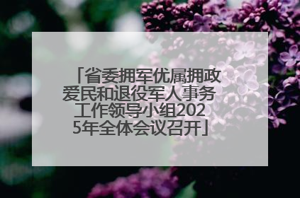 省委拥军优属拥政爱民和退役军人事务工作领导小组2025年全体会议召开