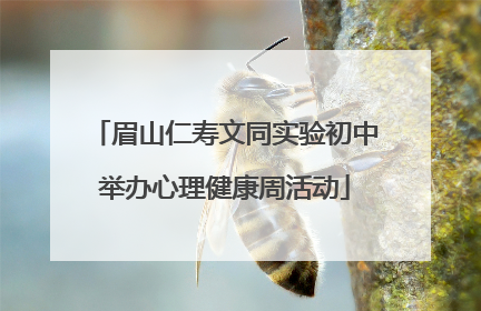 眉山仁寿文同实验初中举办心理健康周活动