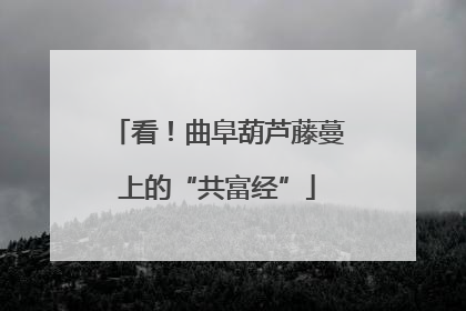 看！曲阜葫芦藤蔓上的“共富经”