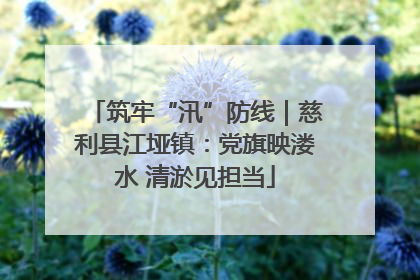 筑牢“汛”防线｜慈利县江垭镇：党旗映溇水 清淤见担当