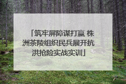 筑牢屏障谋打赢 株洲茶陵组织民兵展开抗洪抢险实战实训