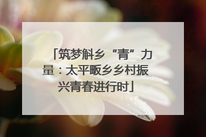 筑梦斛乡“青”力量：太平畈乡乡村振兴青春进行时