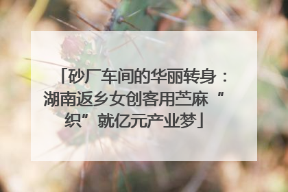 砂厂车间的华丽转身：湖南返乡女创客用苎麻“织”就亿元产业梦