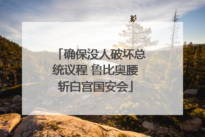确保没人破坏总统议程 鲁比奥腰斩白宫国安会