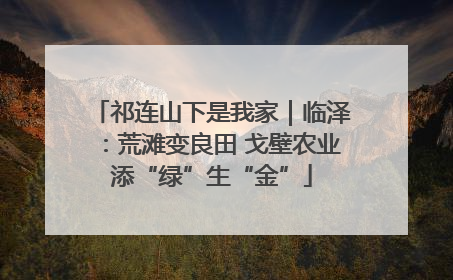 祁连山下是我家｜临泽：荒滩变良田 戈壁农业添“绿”生“金”