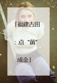 福建古田：点“菌”成金
