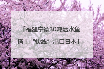 福建宁德30吨活水鱼搭上“快线”出口日本