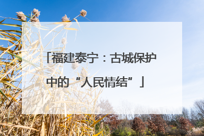 福建泰宁：古城保护中的“人民情结”