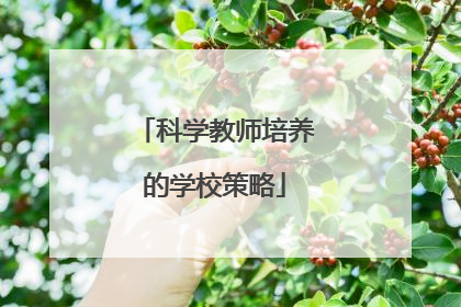 科学教师培养的学校策略
