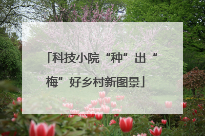 科技小院“种”出“梅”好乡村新图景