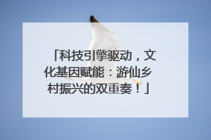 科技引擎驱动，文化基因赋能：游仙乡村振兴的双重奏！