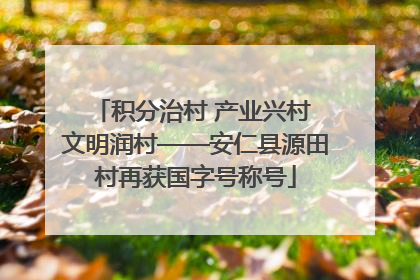 积分治村 产业兴村 文明润村——安仁县源田村再获国字号称号