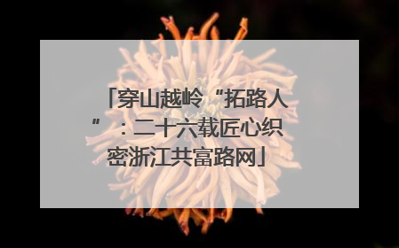 穿山越岭“拓路人”：二十六载匠心织密浙江共富路网