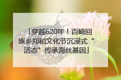 穿越620年！百崎回族乡郑和文化节沉浸式“活态”传承海丝基因