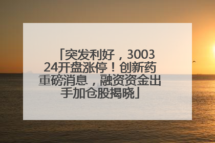 突发利好，300324开盘涨停！创新药重磅消息，融资资金出手加仓股揭晓