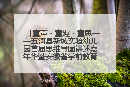 童声・童趣・童思——五河县新城实验幼儿园首届思维导图讲述嘉年华暨安徽省学前教育教研基地园项目阶段性成果展示活动