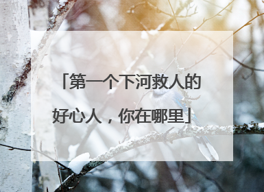 第一个下河救人的好心人，你在哪里