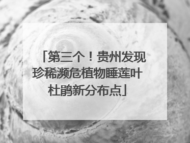 第三个！贵州发现珍稀濒危植物睡莲叶杜鹃新分布点