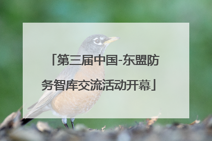 第三届中国-东盟防务智库交流活动开幕