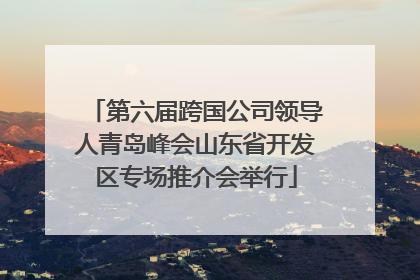 第六届跨国公司领导人青岛峰会山东省开发区专场推介会举行