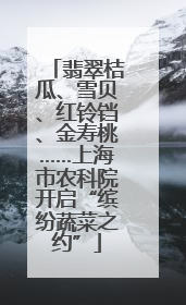 翡翠桔瓜、雪贝、红铃铛、金寿桃……上海市农科院开启“缤纷蔬菜之约”