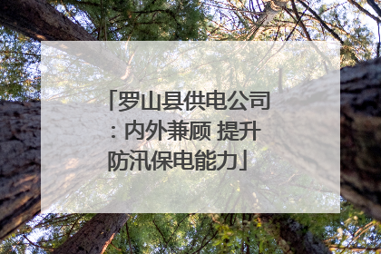 罗山县供电公司：内外兼顾 提升防汛保电能力