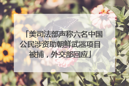 美司法部声称六名中国公民涉资助朝鲜武器项目被捕，外交部回应