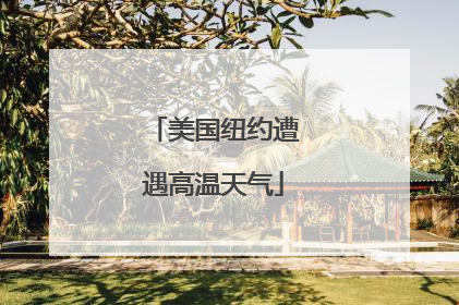 美国纽约遭遇高温天气