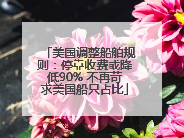 美国调整船舶规则：停靠收费或降低90% 不再苛求美国船只占比