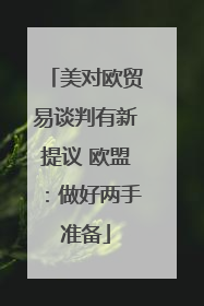 美对欧贸易谈判有新提议 欧盟：做好两手准备