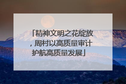 精神文明之花绽放，周村以高质量审计护航高质量发展