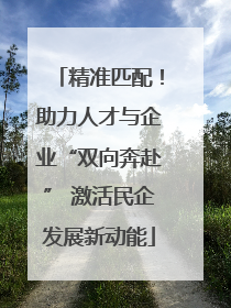 精准匹配！助力人才与企业“双向奔赴” 激活民企发展新动能