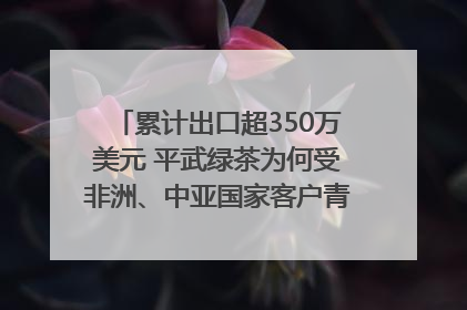 累计出口超350万美元 平武绿茶为何受非洲、中亚国家客户青睐？｜发布会观察